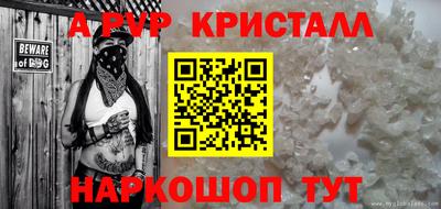 спиды Бийск
