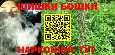 спиды Бийск