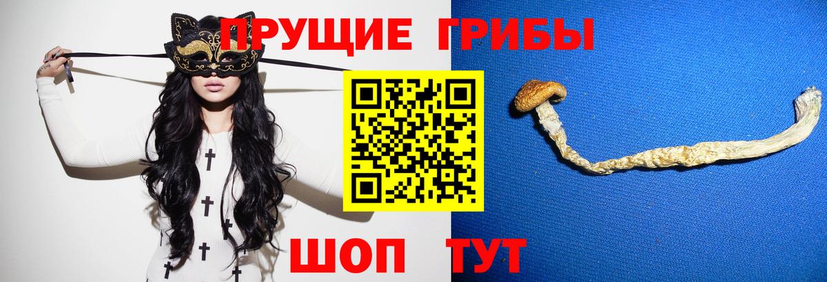 Псилоцибиновые грибы GOLDEN TEACHER  Вход с VPN  Заводоуковск  Галлюциногенные грибы Psilocybe 